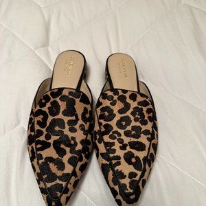 Cole Han Piper Mule | Cheetah Print Loafers